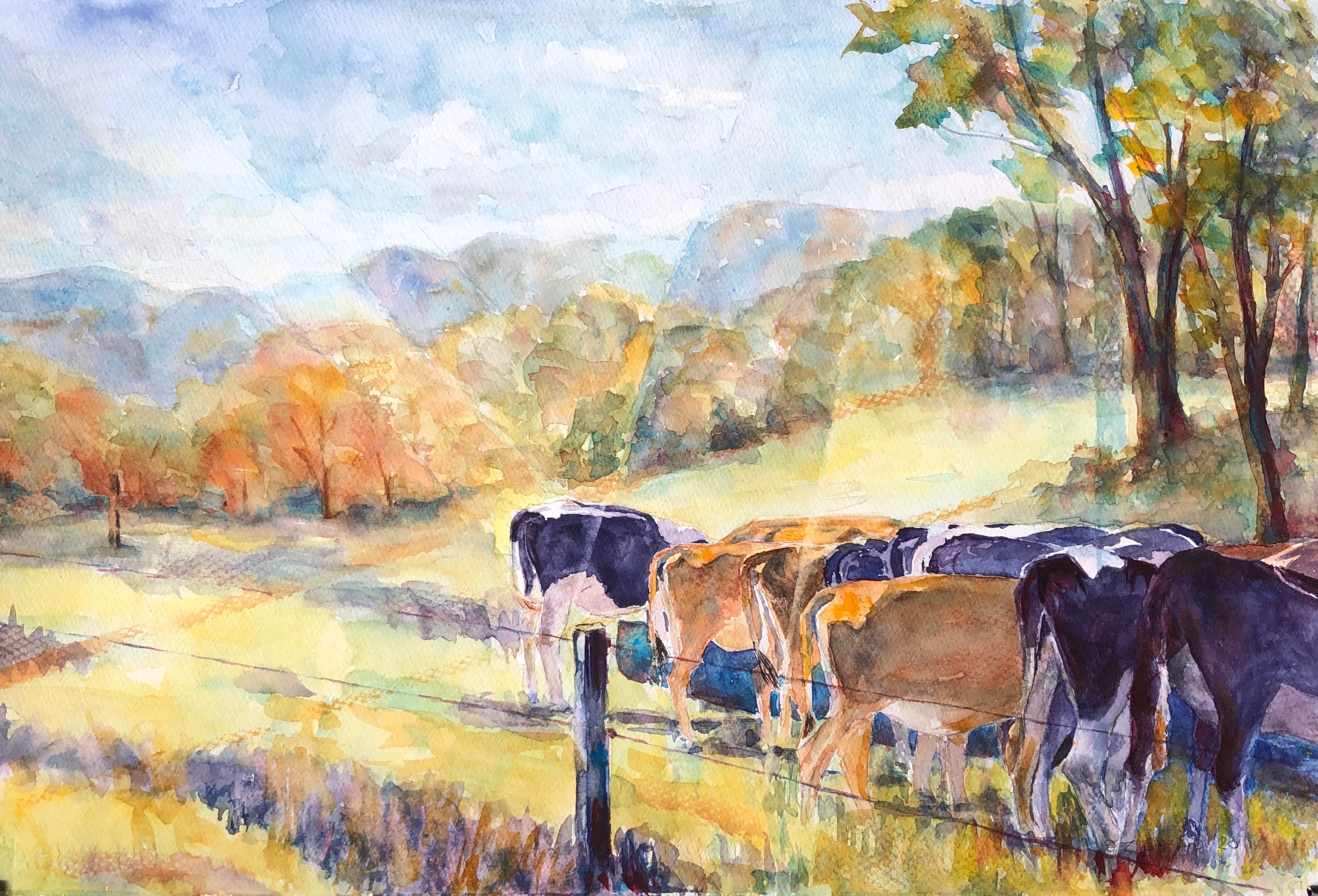 calves at the trough'