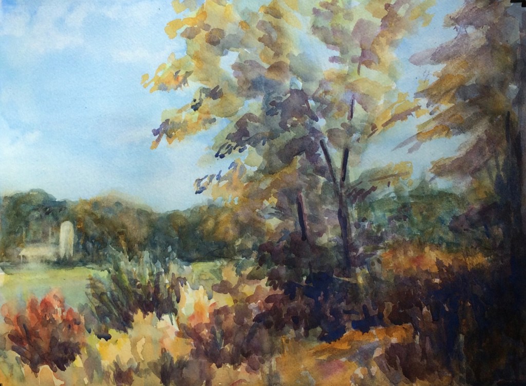 Fields with Distant Silo 