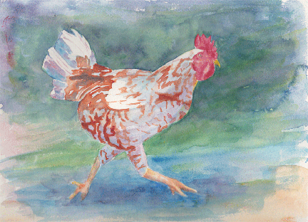 Chicken Running